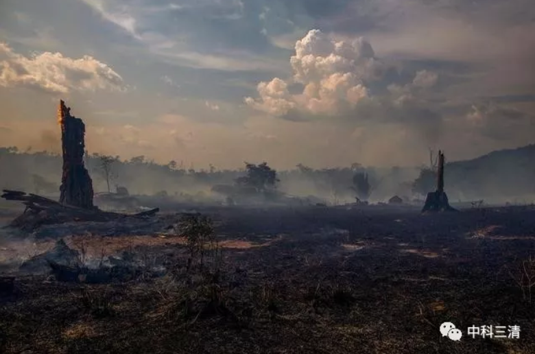 燃热的亚马逊 恶化的全球大气环境